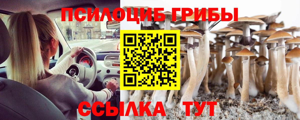 Всеволожск  купить наркотики сайты  Галлюциногенные грибы Magic Shrooms  Вход с VPN  Псилоцибиновые грибы ЛСД 